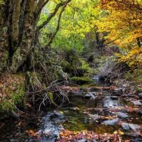 alojamiento en Bujarrabal